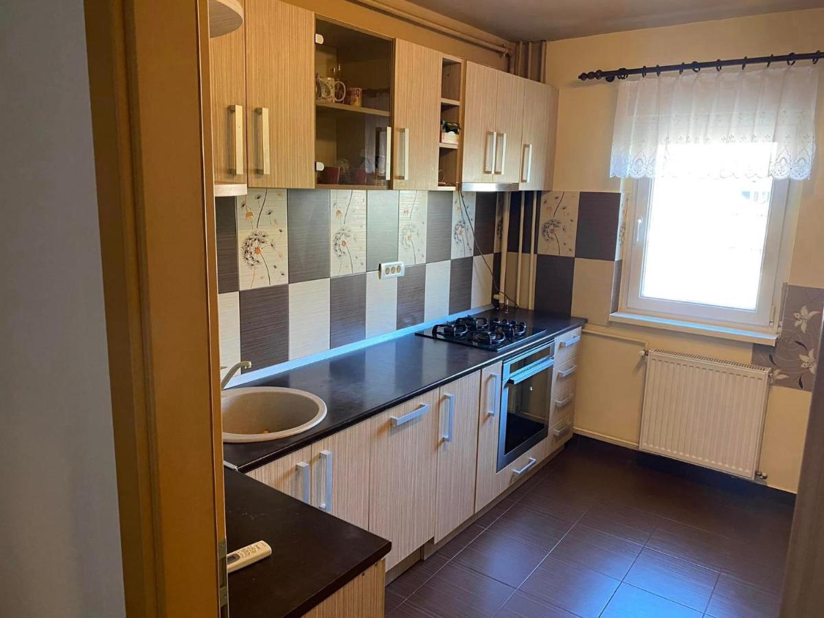 Apartament Piata Verde Timişoara Exterior foto